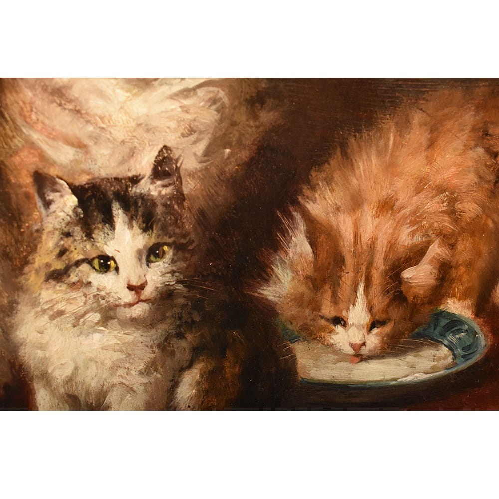 QA770 8a antique oil painting cats portraits painting XIX